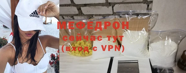 мдпв Бородино